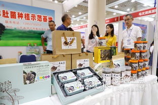 魚臺79家企業(yè)亮相省城，生態(tài)農(nóng)產(chǎn)品與保潔服務(wù)雙星閃耀